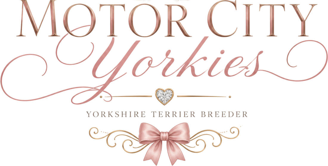 Motor City Yorkies logo