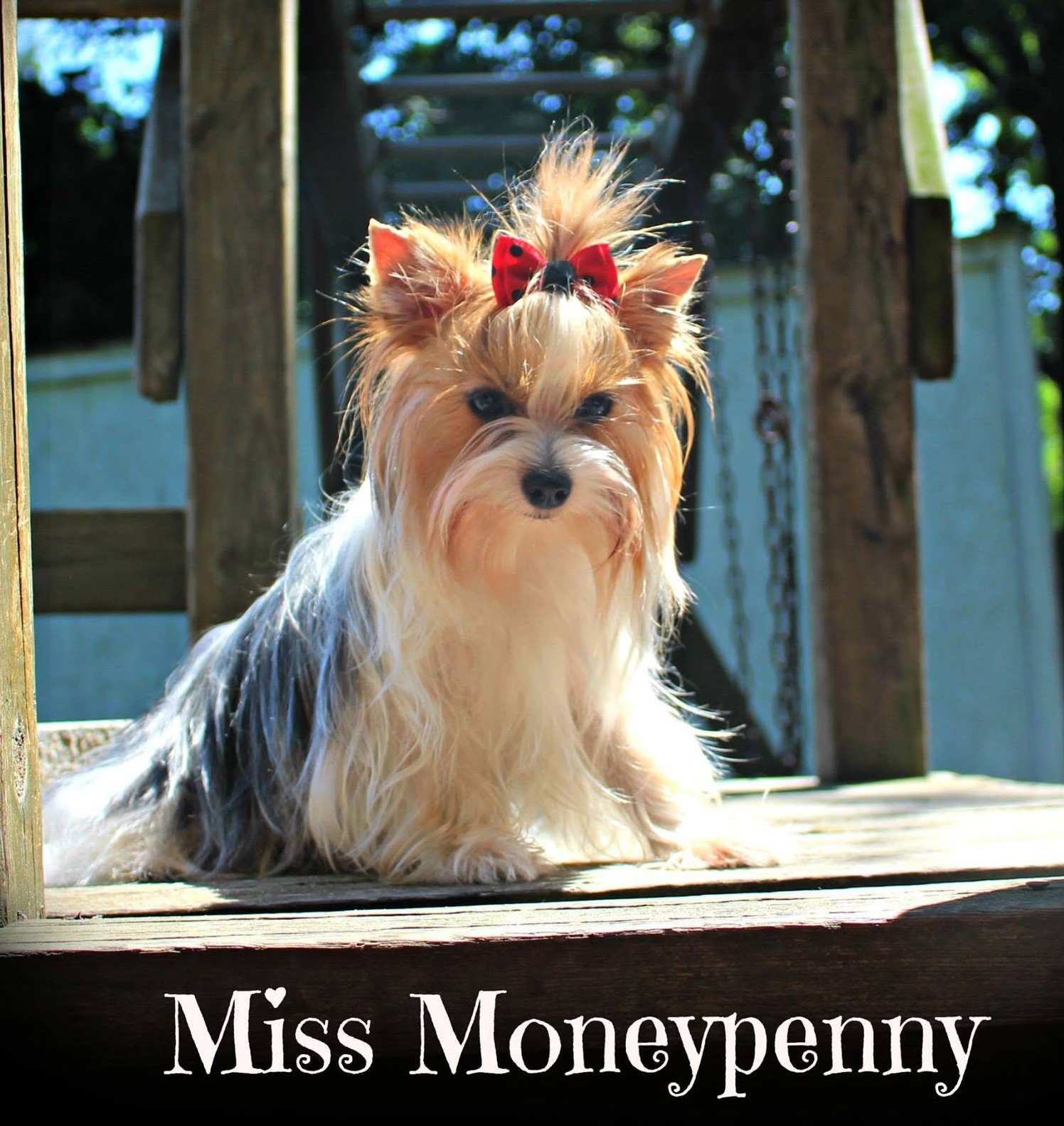 Miss Moneypenny