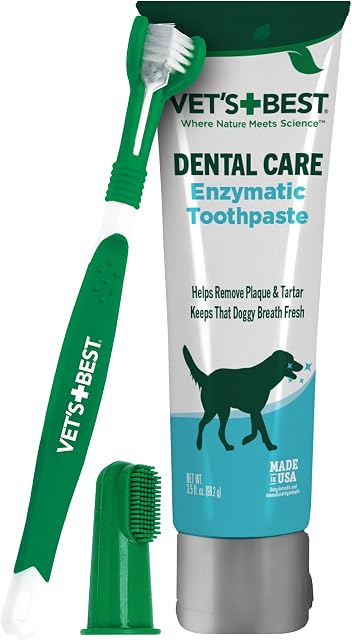 Dental Care Kit