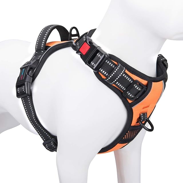 No-Pull Training Harness
