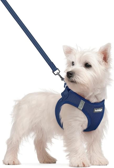 Step-In No-Choke Harness