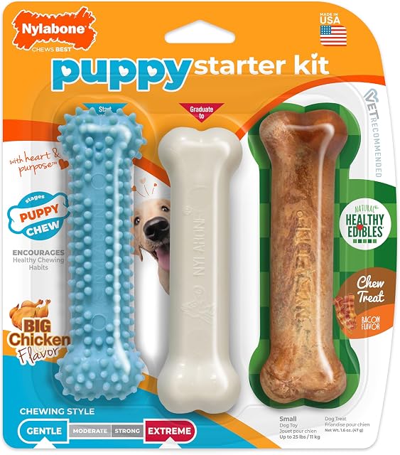 Puppy Chew Toy Set